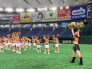 ジャイアンツ ヴィーナスダンススクール」新規入会者募集中