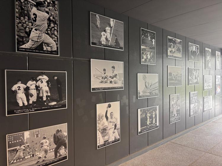 長嶋茂雄 読売ジャィアンツキャンプ風景画 フレーム付き ジャイアンツタウンスタジアムに長嶋さんの壁面装飾や写真展示が