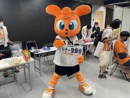 選手実使用バット靴べら」 抽選申し込み受付開始 | 読売