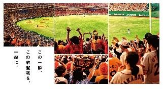 東京ドームシーズンシート「ファイナルプラン」申し込み受け付け開始