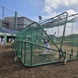 限定値下げ　プロ実使用　支給品　硬式用　内野用　藤村大介　読売ジャイアンツ　巨人 限定値下げ プロ実使用 支給品 硬式用 内野用 藤村大介 読売