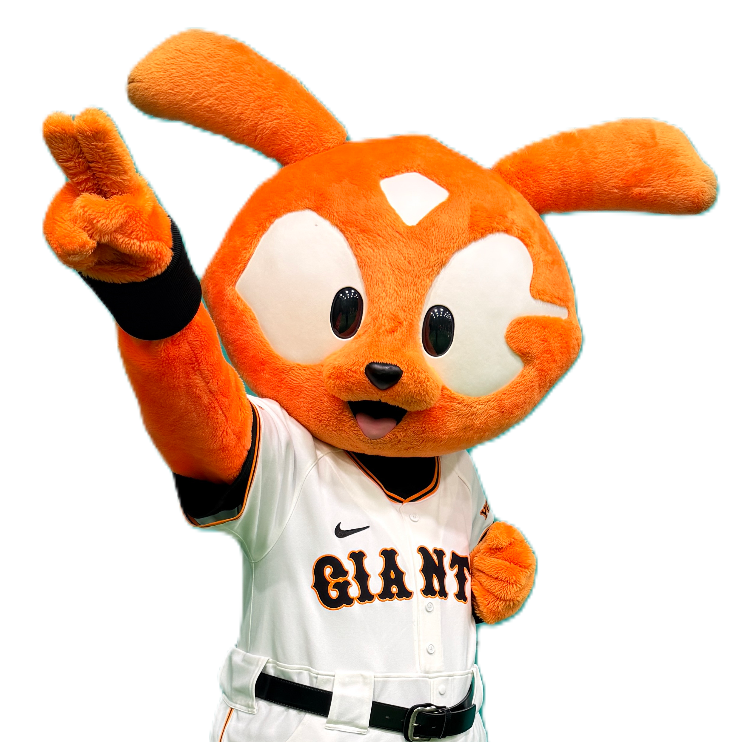 4月3日からの3連戦でポケモン特別企画を開催 | 読売ジャイアンツ（巨人