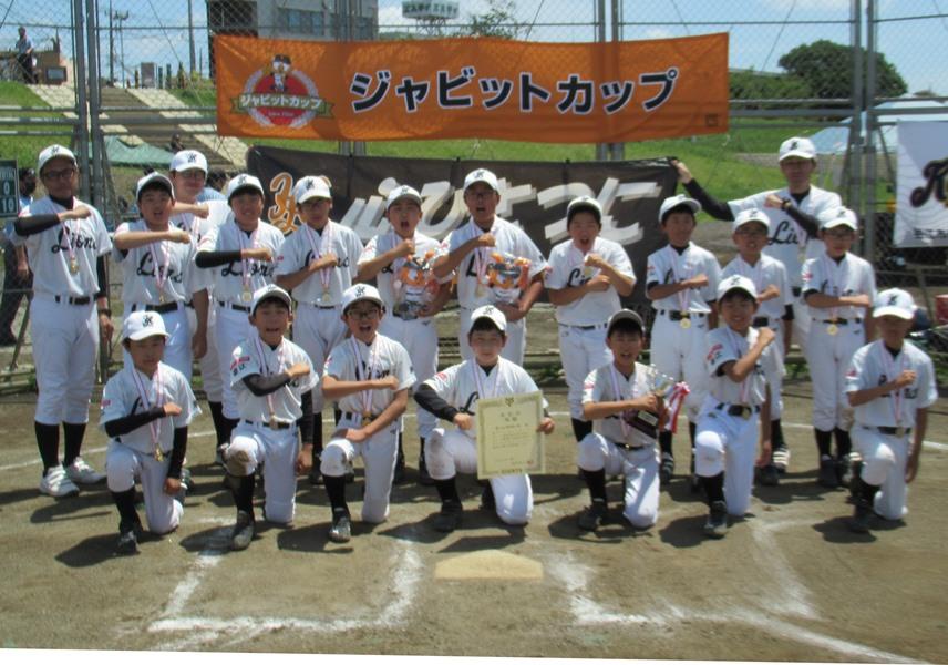 Amazon.co.jp: アイリスオーヤマ お掃除楽ちんサークル 屋根