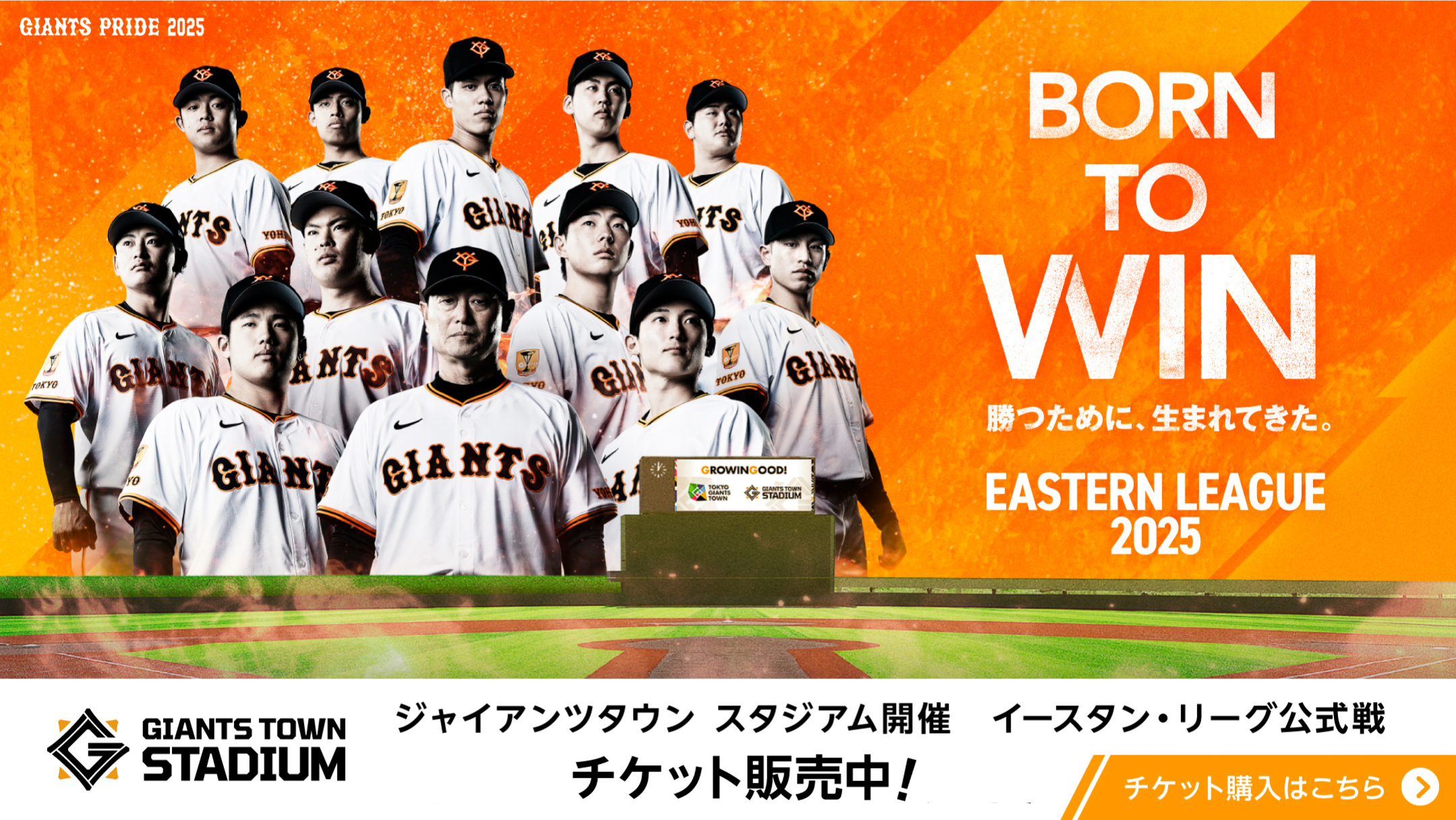 チケット、スポーツ、野球 プロ野球チップス2025 第2弾 reg-115 中川 圭太 (オリックス