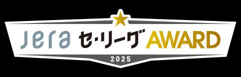 読売ジャイアンツ 矢野謙次 バッティンググローブ 元、巨人、日本ハム 矢野謙次選手バッティンググローブ