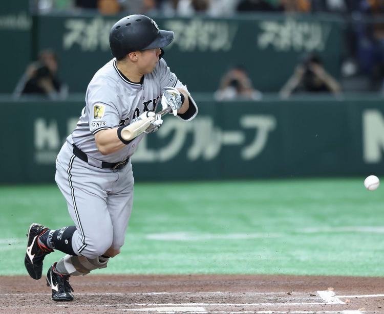 浅野 翔吾 | 選手情報 | 読売ジャイアンツ（巨人軍）公式サイト