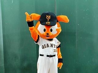 ジャビット巨人様 宮崎キャンプにヴィーナス・ジャビットがやってくる！ | 読売