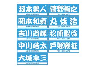 読売ジャイアンツ 春キャンプ2017 非売品2点セット 🌴GIANTS & ゴボチ🌴／ 2025年 春季キャンプグッズで”トゴチ”初