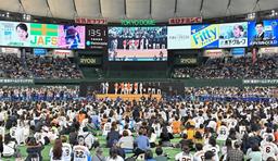 ジャイアンツ・ファンフェスタ 2025 Presented by Fanatics 」概要決定