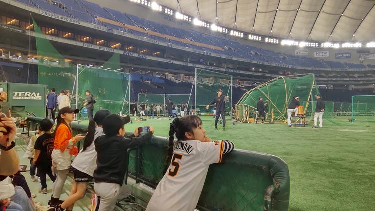 ジャイアンツ 東京ドーム スタンド練習見学会 1冊（3枚） 読売巨人軍