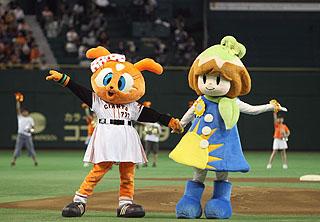 キャンプ地・宮崎からありがとう！ みやざきスペシャルゲーム開催