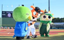 坂本、亀井ら5選手の「プレーヤーズ・デー」を開催 ファンクラブ