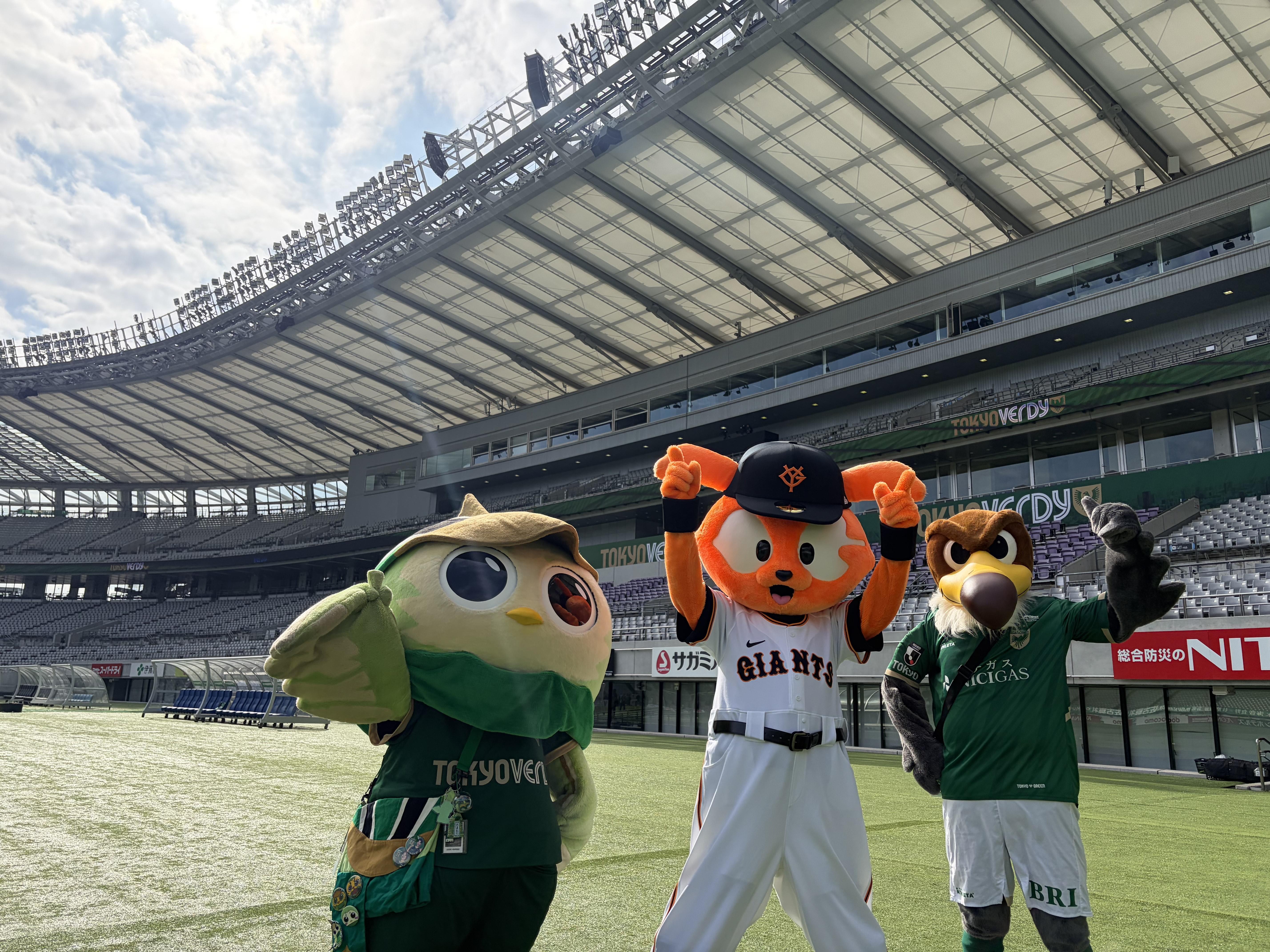 東京ヴェルディのホームゲームにジャビットが登場 | 読売ジャイアンツ