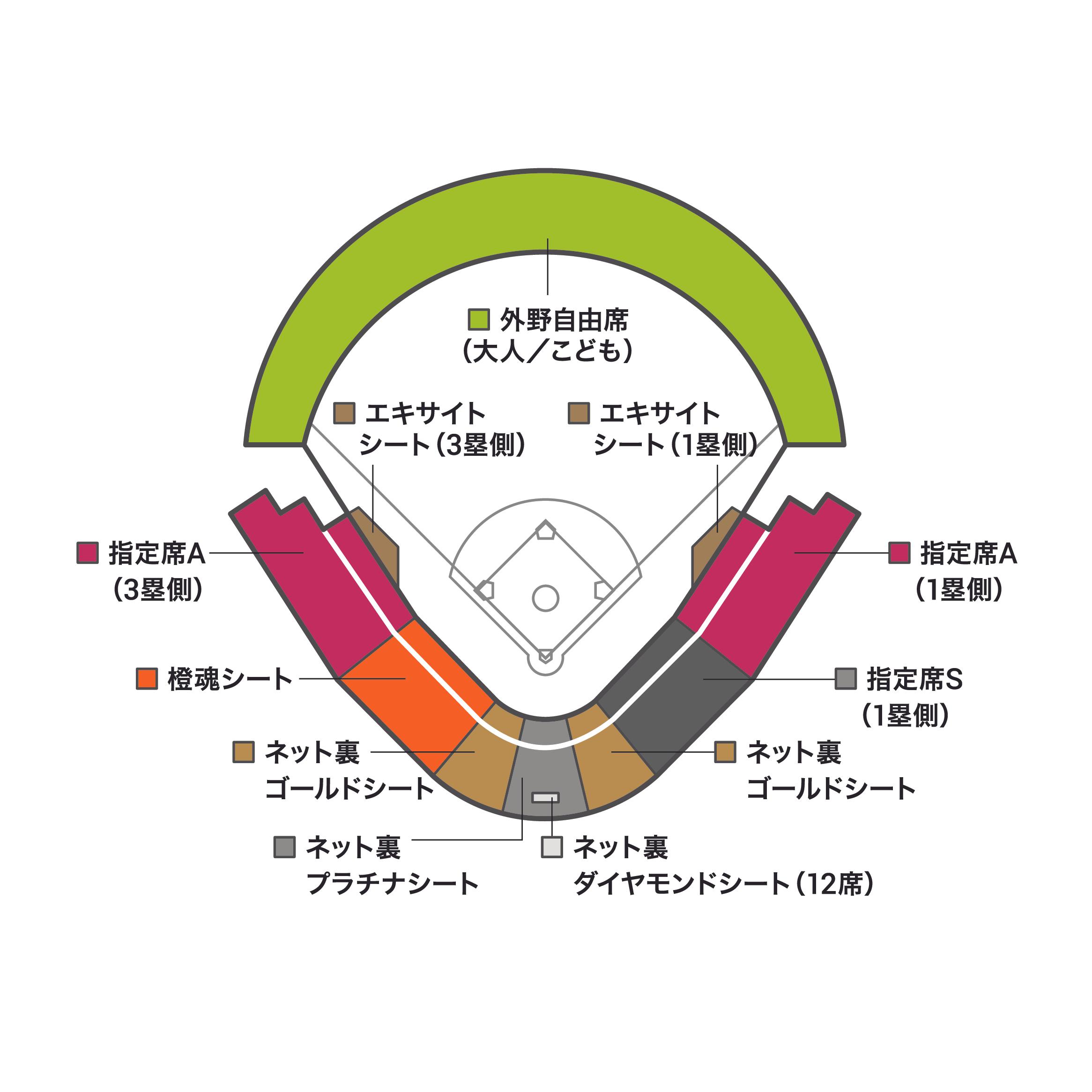 2024.2.18_対 広島東洋カープ | 試合情報 | 読売ジャイアンツ