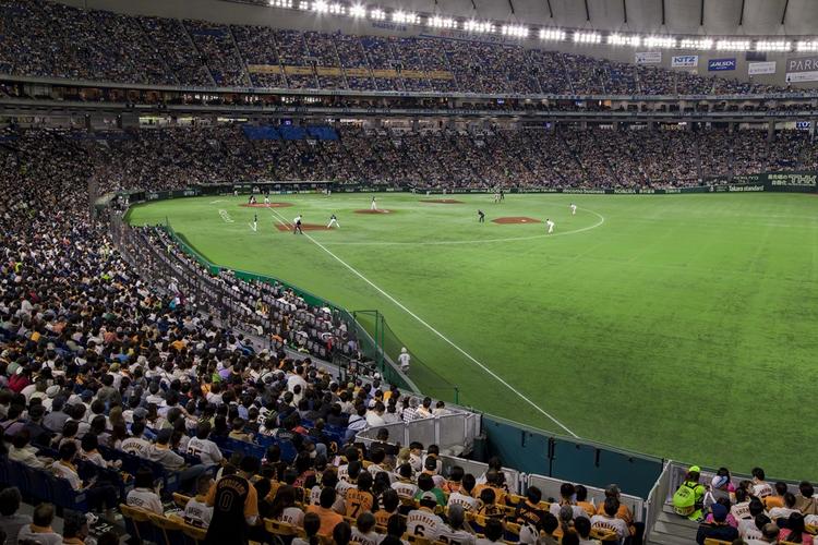 シーズンシート「交流戦スタートプラン」受付開始 41試合が対象