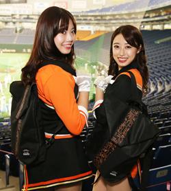 ジャイアンツ公式ファンクラブ 「CLUB GIANTS」に入会し2020年も