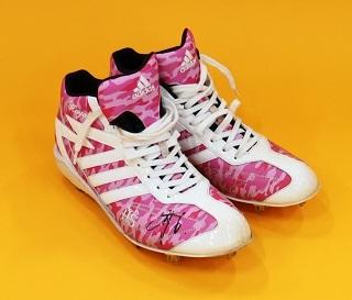 マザーズデーアイテム」をヤフオクに出品 選手使用バットなど30点