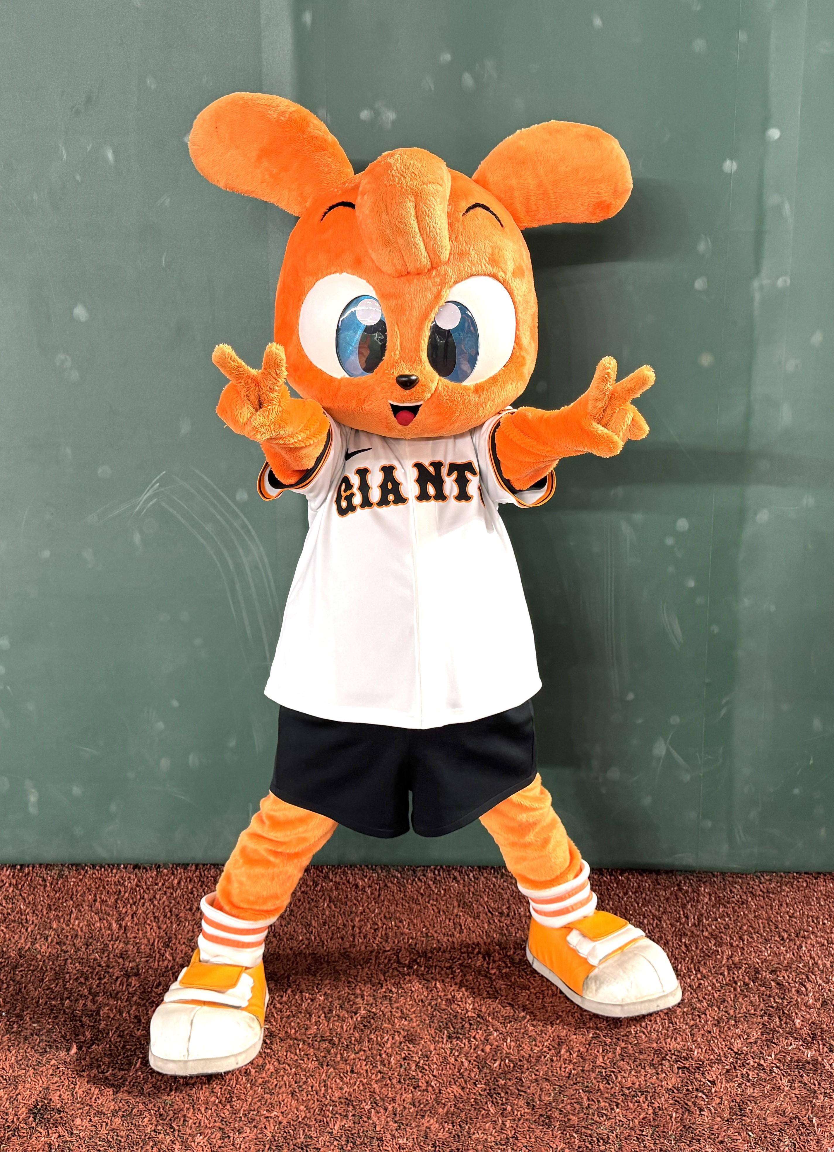 松本城で松本山雅FCとコラボ | 読売ジャイアンツ（巨人軍）公式サイト