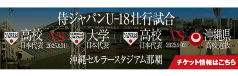 中島宏之　200号本塁打記念クッション　鹿島帝国 中島宏之選手「通算200本塁打」達成記念グッズを発売 | 読売