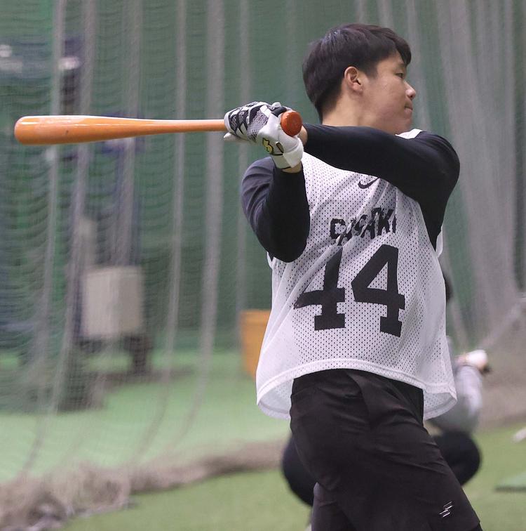 読売巨人軍 公式練習球 Amazon | 読売ジャイアンツ野球 ボール 練習球