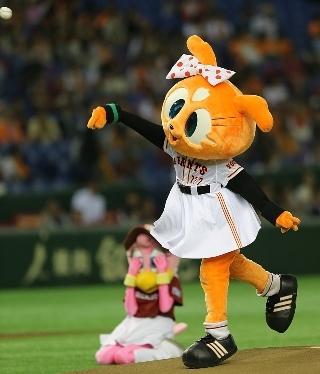 東京読売巨人軍 シスタージャビット人形Lサイズ50センチ 東京読売巨人