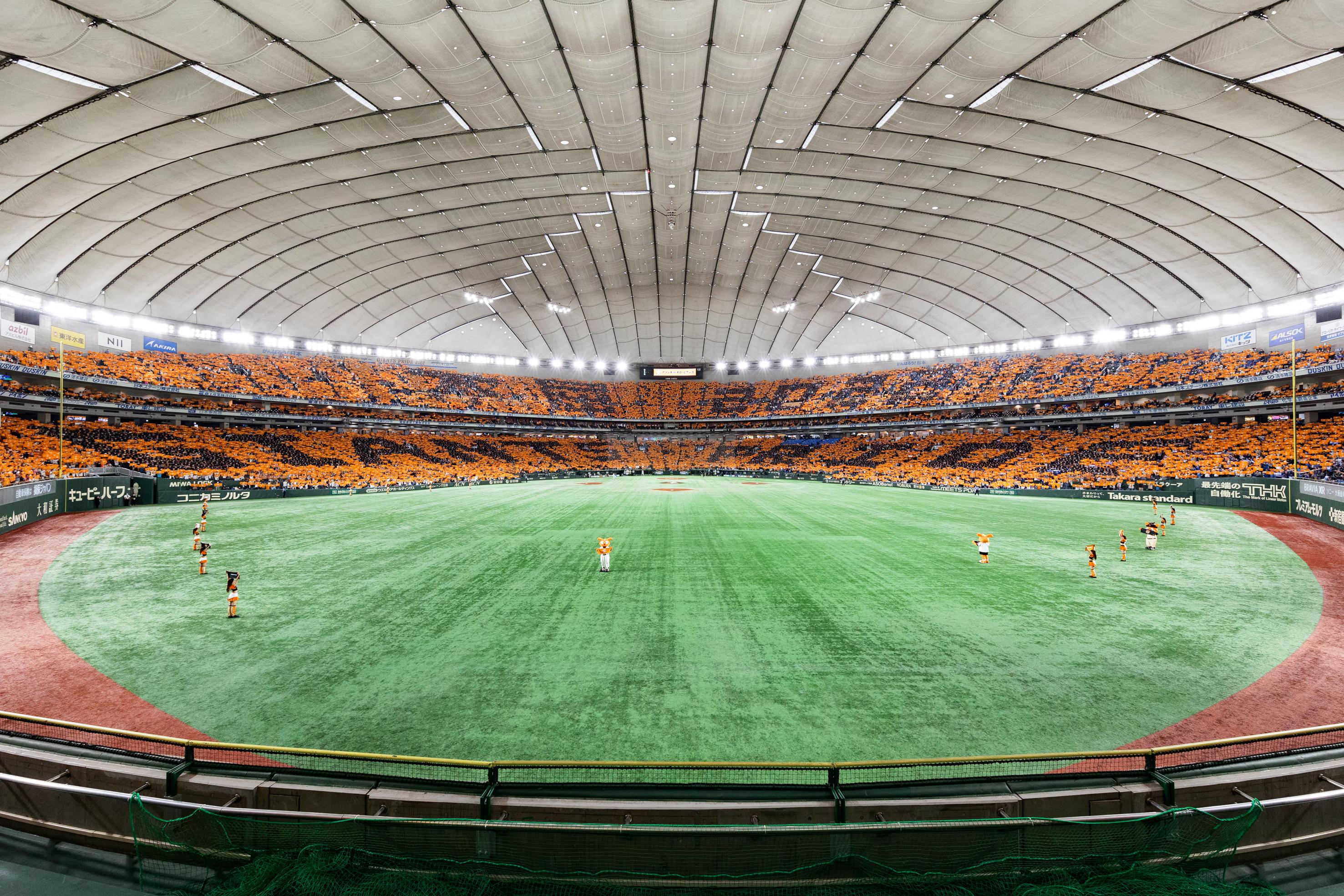 5月30日「アランチョ・ネロ2024」 みんなでアートを描こう | 読売