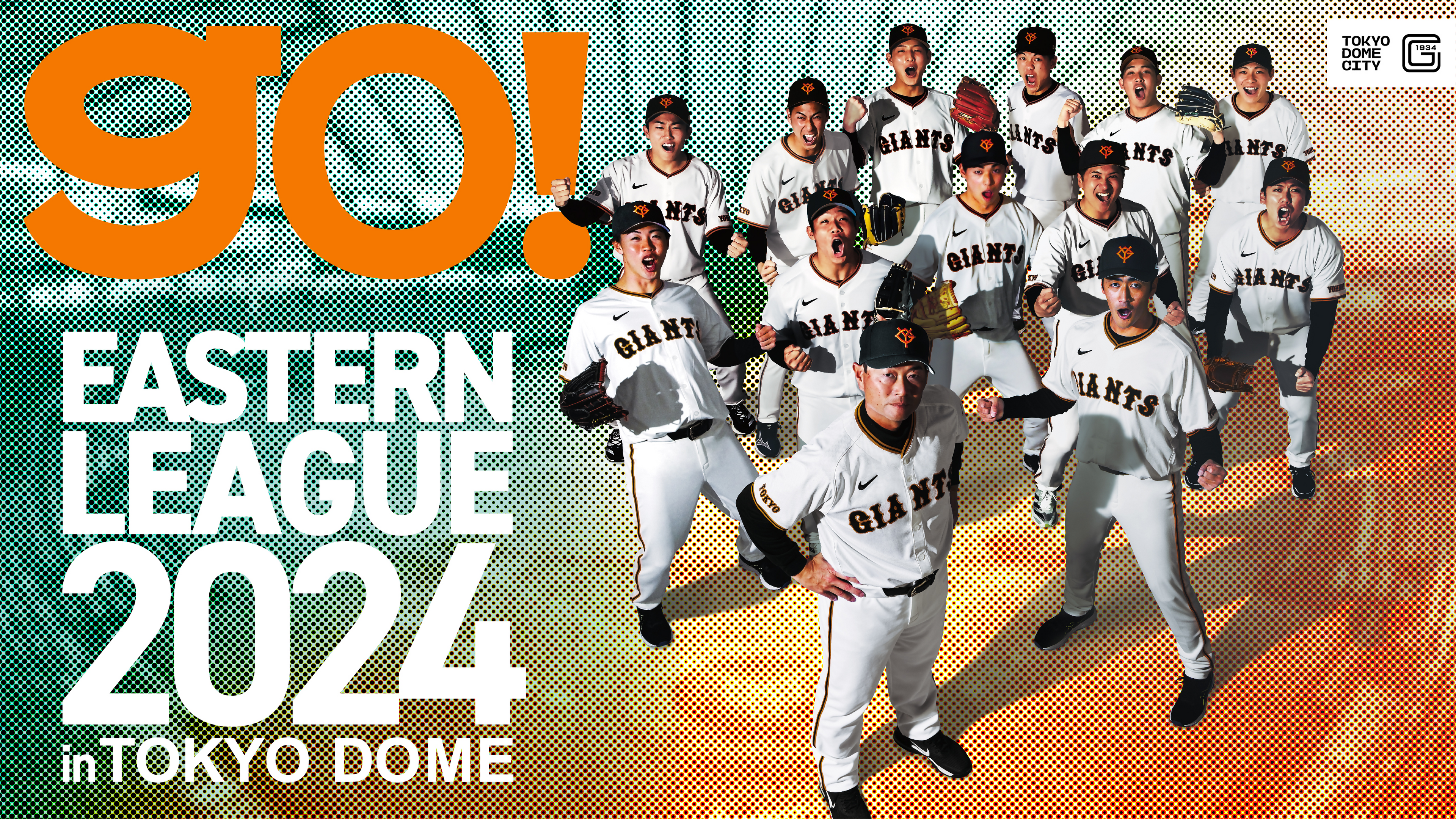 野球 チケット 8月11日 vs巨人 野球 チケット 8月11日 vs巨人