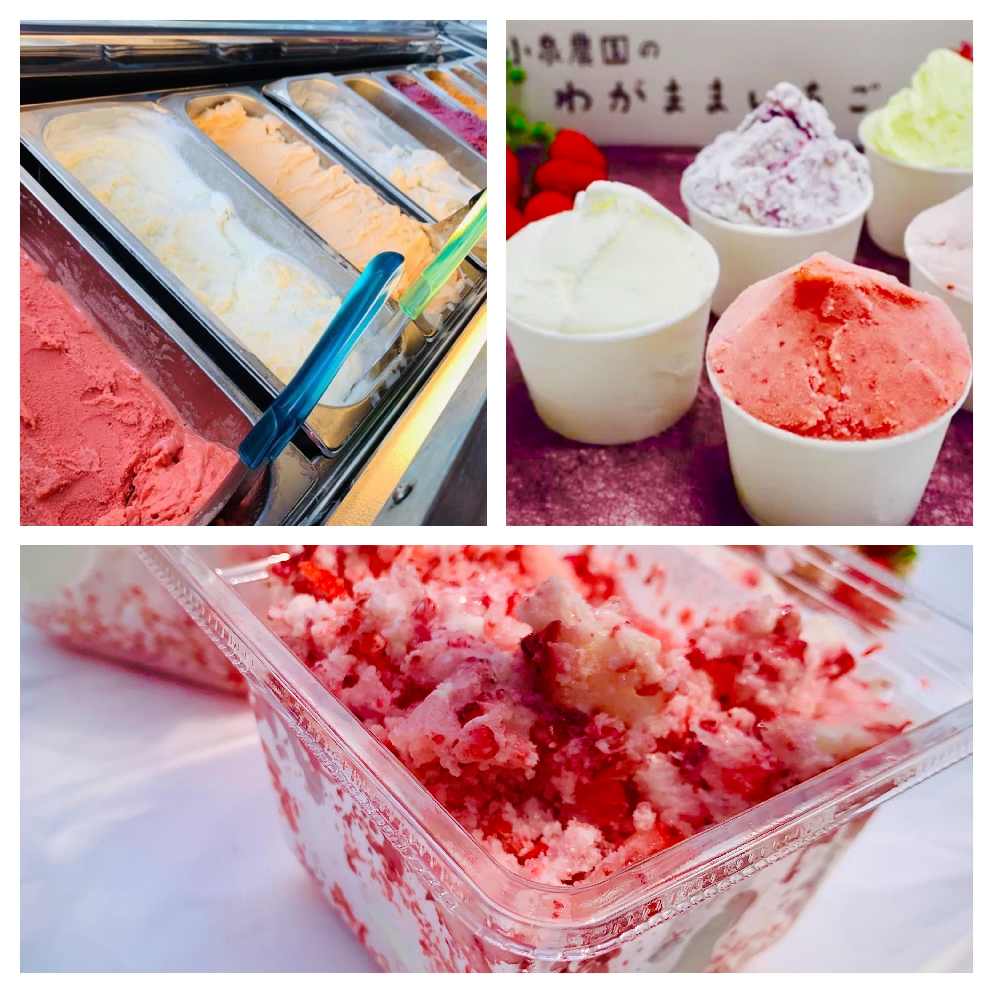 8月18日～9月7日のイースタン・リーグ公式戦9試合の入場券販売