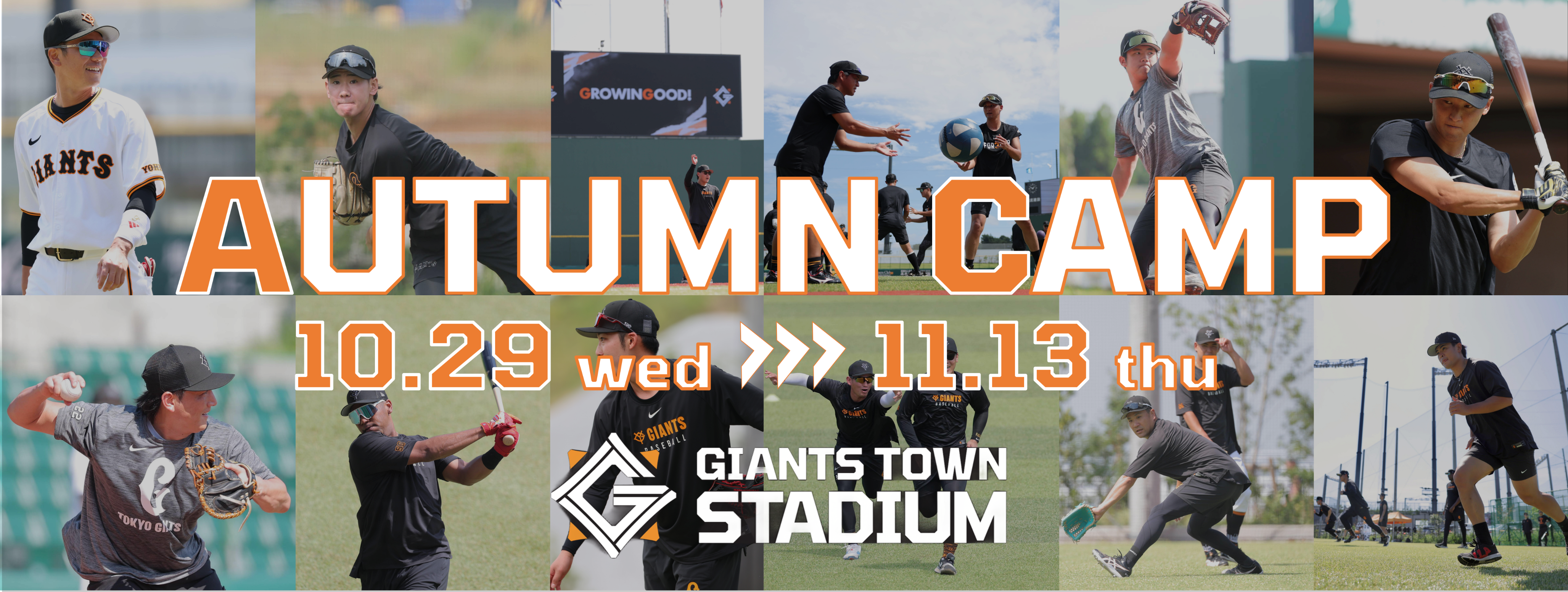 scHFVpfZaSbTXAupvRZN66