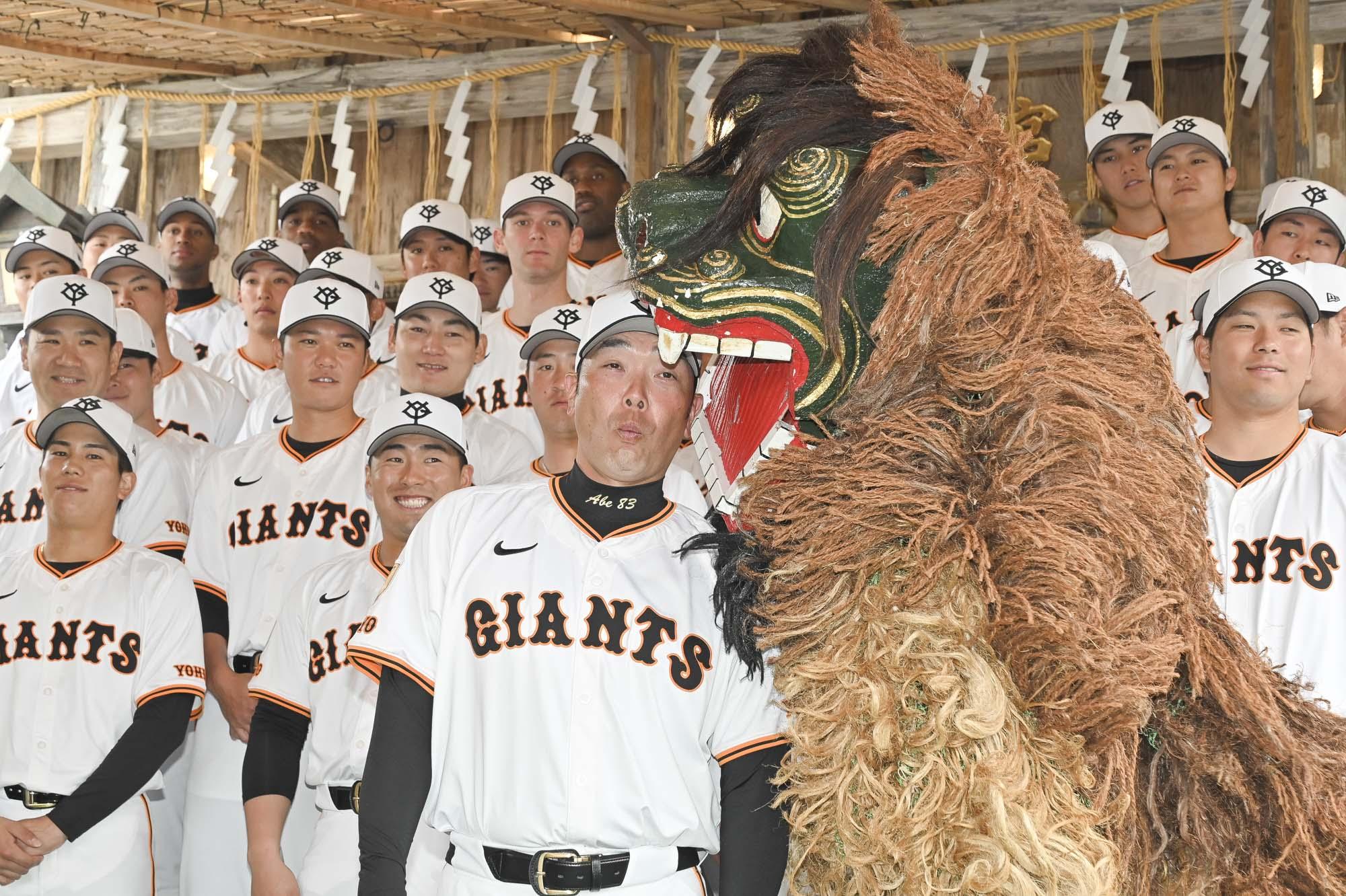阿部監督が獅子舞にかまれる ～恒例行事で那覇キャンプ始動！ | 読売