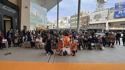 ジャイアンツ・ファンフェスタ2024 イベント概要決定 イベント