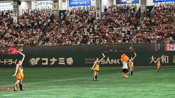 ジャイアンツ 巨人 プレーヤーズ・デー 2019 配布 全種 ジャイアンツ 巨人 プレーヤーズ・デー 2019 配布 全種