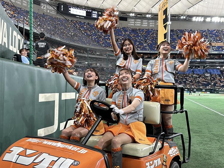 ジャイアンツヴィーナス ガチャ　2025年セット ジャイアンツヴィーナス ガチャ 2025 - メルカリ