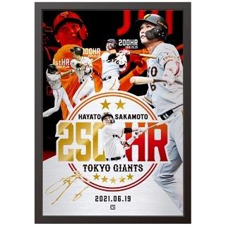 未開封　坂本勇人選手　通算250本塁打記念バット 未開封 坂本勇人選手 通算250本塁打記念バット 坂本勇人選手